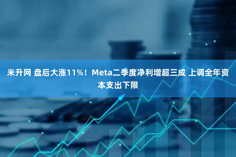 米升网 盘后大涨11%！Meta二季度净利增超三成 上调全年资本支出下限